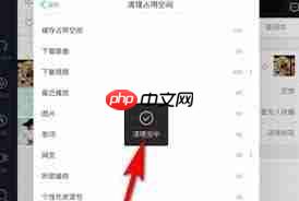 qq音乐缓存清理位置在哪