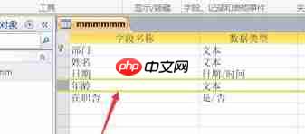 access如何调换两个字段位置