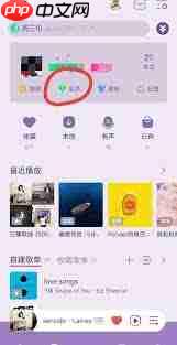 电脑版QQ音乐如何查配额