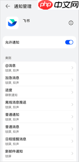 飞书通知延迟怎么办