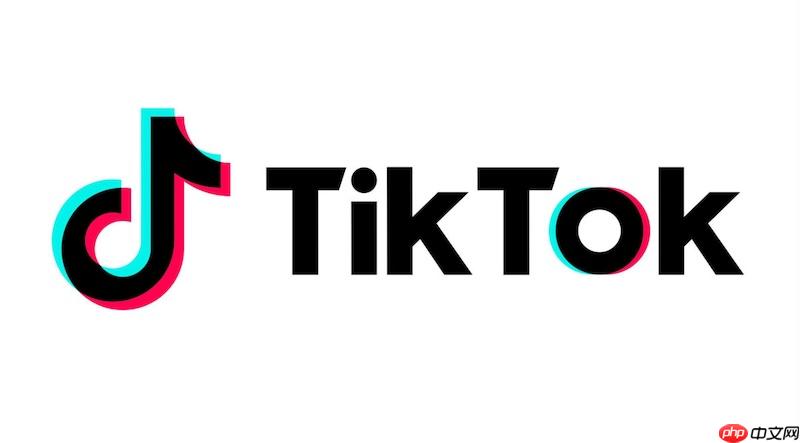 tiktok怎么分析账号标签 tiktok账号定位方法