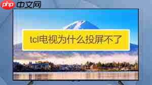 TCL投屏搜索不到设备怎么办