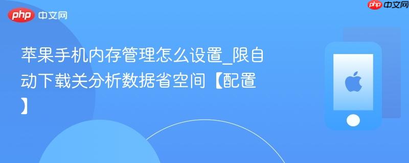 苹果手机内存管理怎么设置_限自动下载关分析数据省空间【配置】