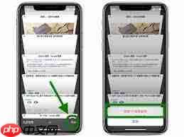 如何关闭苹果Safari自动填充功能