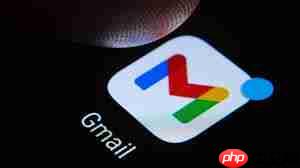 谷歌邮箱网页版官方通道在哪