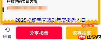 在哪看淘宝闪购年度报告