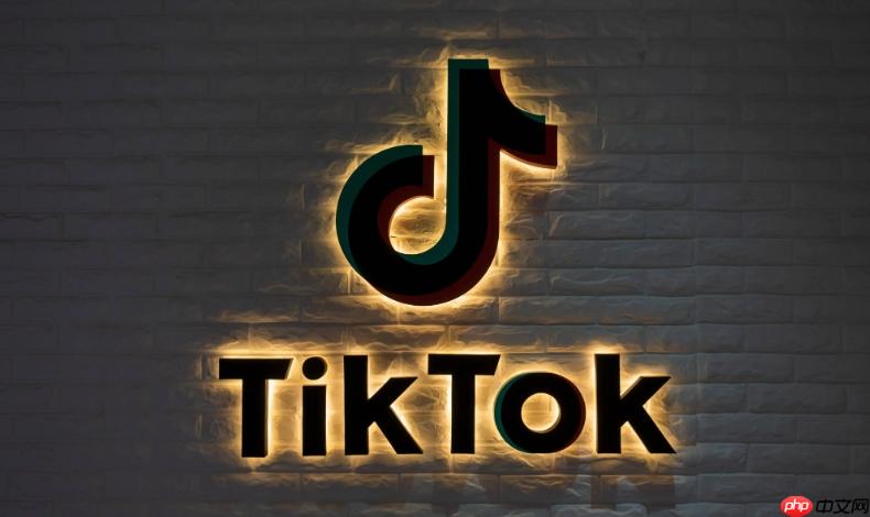 tiktok如何通过搬运视频赚钱 tiktok二次剪辑防查重技巧【经验】