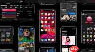 猫眼电影夜间模式怎么开启