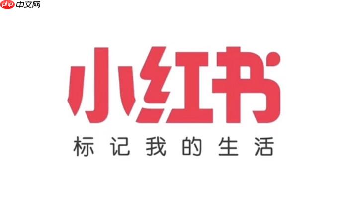 小红书网页版官网首页 小红书电脑端在线登录