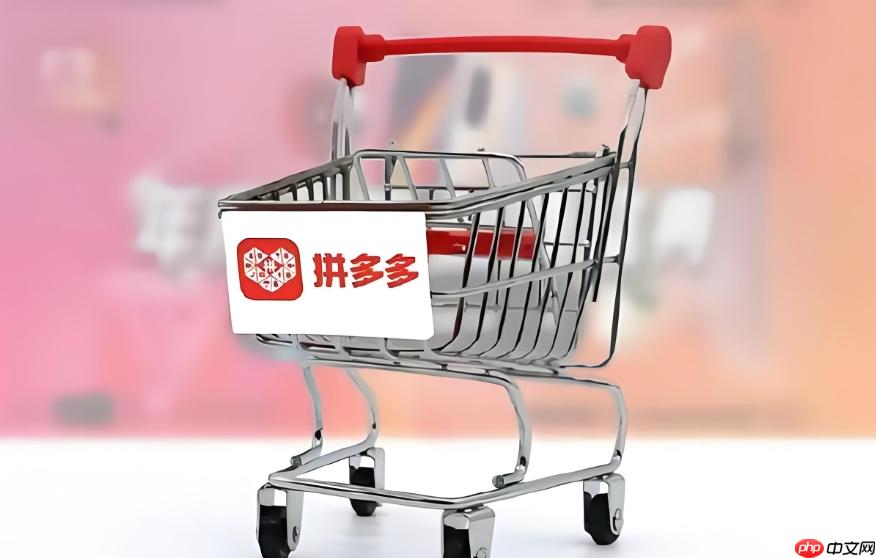 拼多多官网官方网页版地址 拼多多电脑版最新登录入口