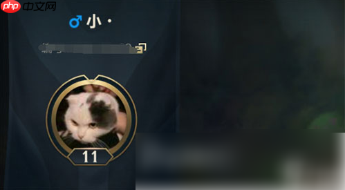 lol手游名字一个字怎么弄 具体介绍