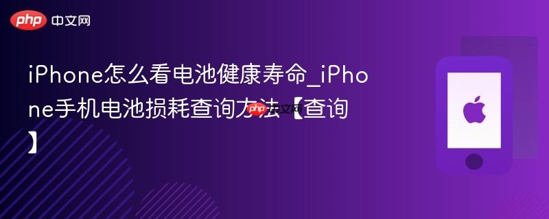 iphone怎么看电池健康寿命_iphone手机电池损耗查询方法【查询】