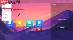 恒星播放器怎么设置启用维护服务