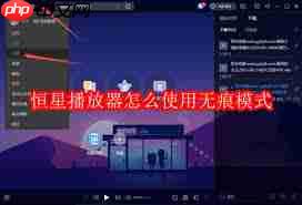 恒星播放器怎么设置启用维护服务