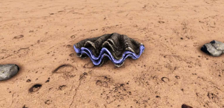 方舟生存进化砗磲特性是什么