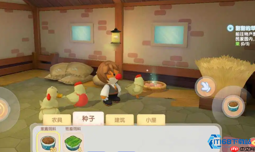 闪亮梳毛秘技：高效提升母鸡产蛋率实战指南