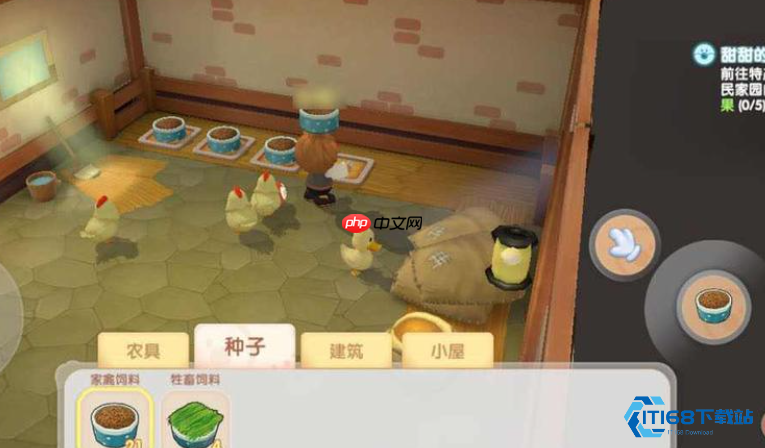 闪亮梳毛秘技：高效提升母鸡产蛋率实战指南