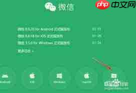 微信文件助手网页版如何查看文件上传进度