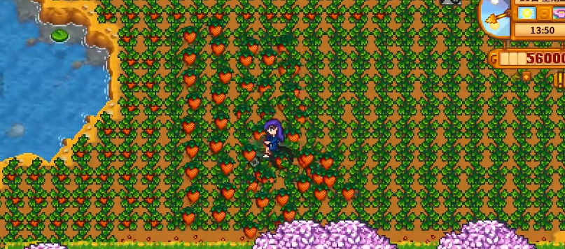 星露谷物语有哪些物品适合小桶酿造