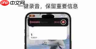 iPhone一键录音功能怎么设置