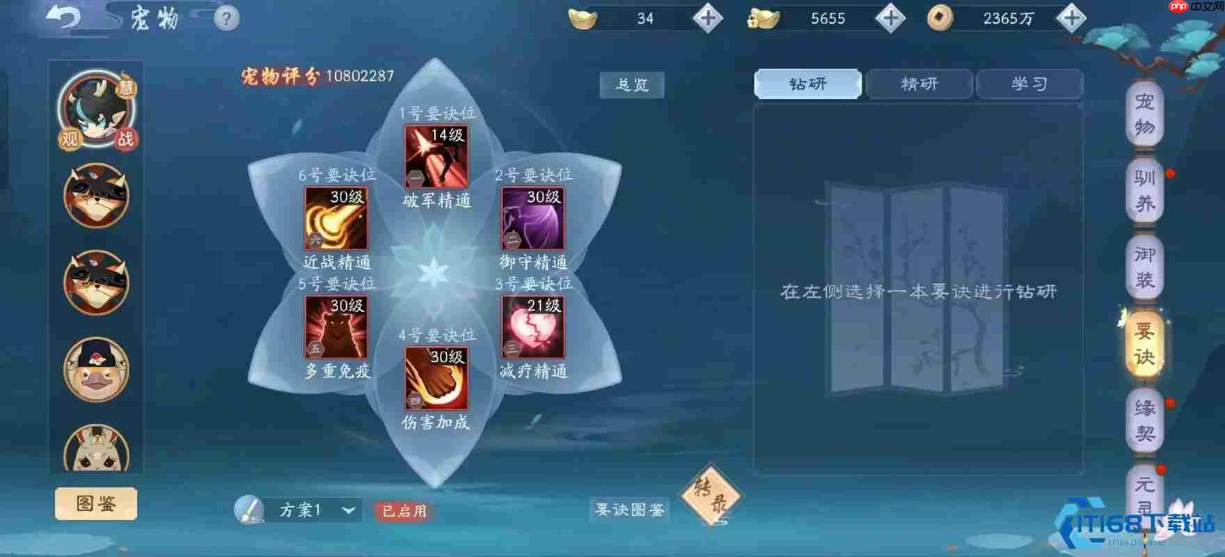 华山职业养成指南：平民绝学高效搭配与战力突破秘籍