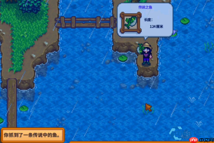 星露谷钓鱼大神速成指南：成为渔场富翁的秘密