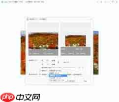 2345看图王如何收藏图片