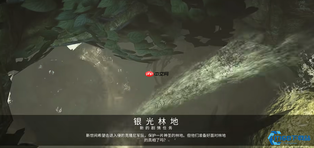 解锁银光林地秘宝：祭坛探险全解析！