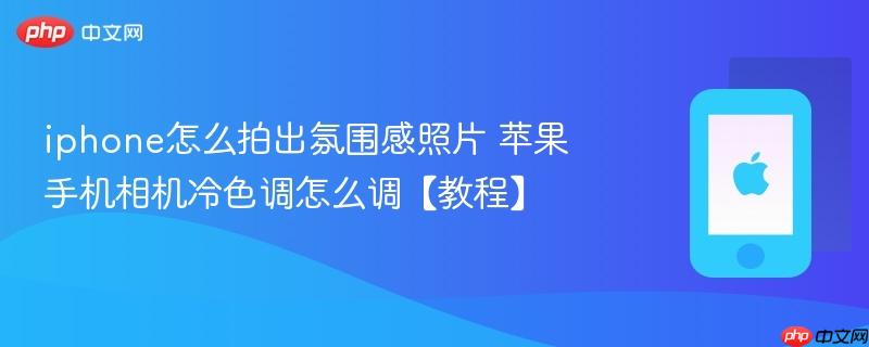iphone怎么拍出氛围感照片 苹果手机相机冷色调怎么调【教程】