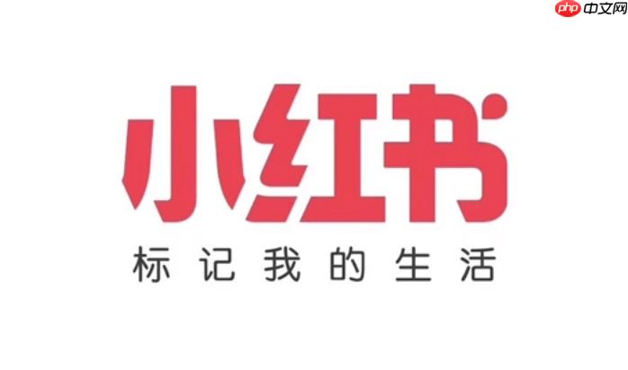 小红书网页版登录官方入口 小红书电脑版官网在线首页