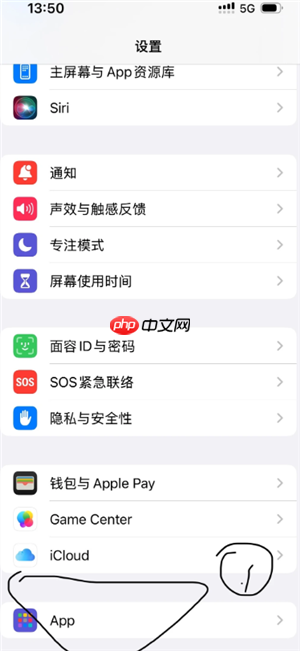 苹果微信视频摄像头开了不显示怎么办 苹果微信视频摄像头开了不显示解决方法