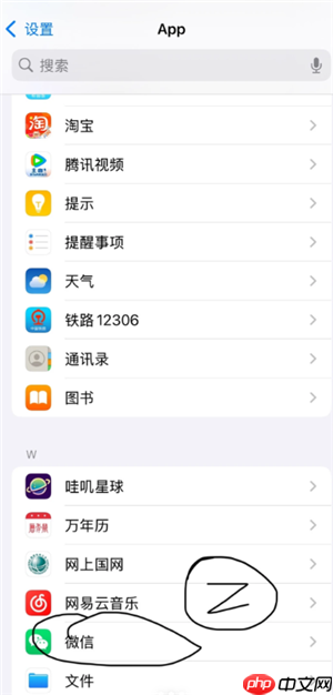 苹果微信视频摄像头开了不显示怎么办 苹果微信视频摄像头开了不显示解决方法