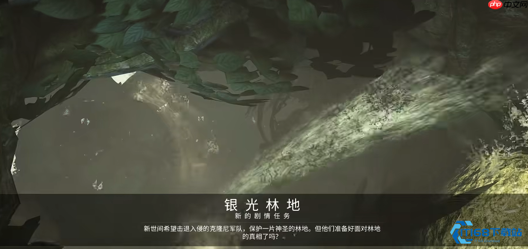 终极银光林地探索攻略 夜灵平野隐藏区域完全解析
