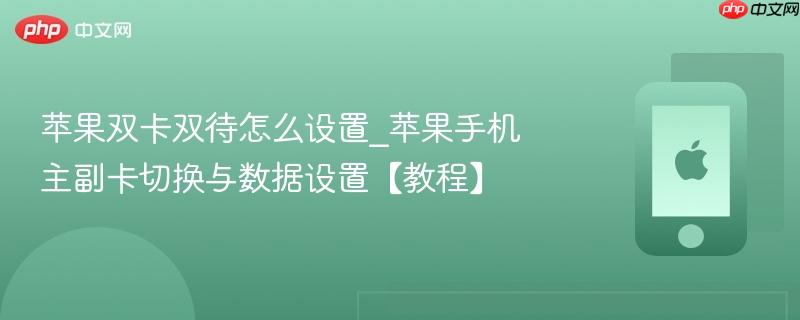 苹果双卡双待怎么设置_苹果手机主副卡切换与数据设置【教程】