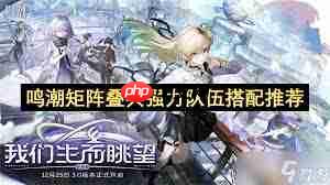 鸣潮矩阵叠兵队伍怎么排优先级-鸣潮矩阵叠兵队伍优先级如何推荐