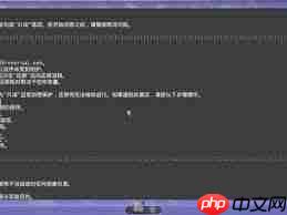AILA全流程实况解说视频是什么样的
