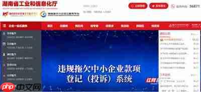 湖南企业登记新用户如何注册