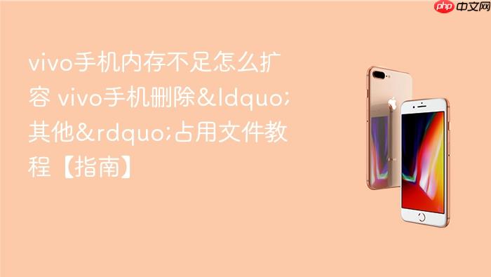 vivo手机内存不足怎么扩容 vivo手机删除“其他”占用文件教程【指南】