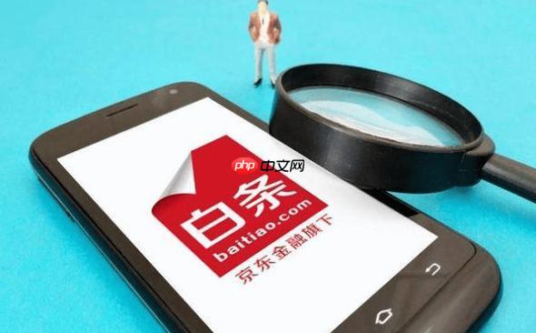 京东白条额度如何提升_京东白条怎么借款【指南】