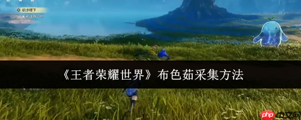 王者荣耀世界布色茹怎么采集  王者荣耀世界布色茹采集方法