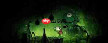 空洞骑士丝之歌如何全花芯获得