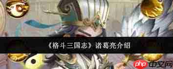 格斗三国志诸葛亮厉害吗-格斗三国志诸葛亮强不强