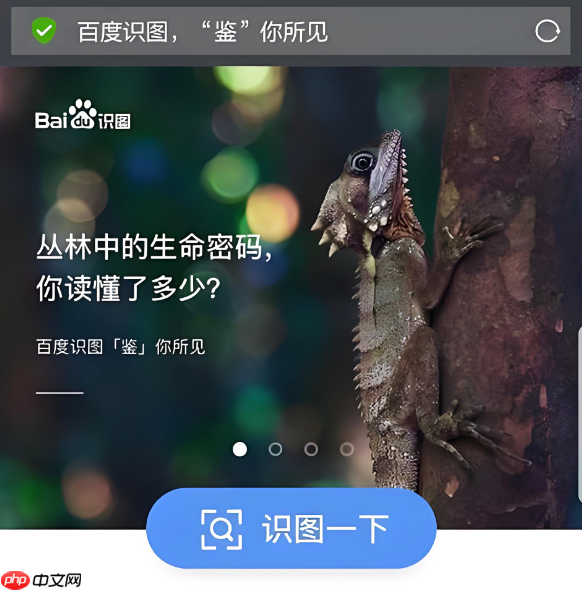 百度识图免费入口 百度识图网页版在线入口