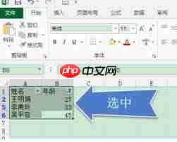 Excel筛选后怎么复制