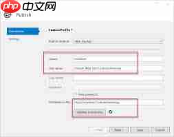 Visual Studio 2019怎样设置IIS