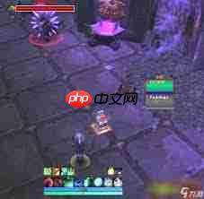 魔兽世界红色木槿有啥作用