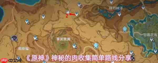 原神神秘的肉在哪收集  原神神秘的肉收集简单路线分享