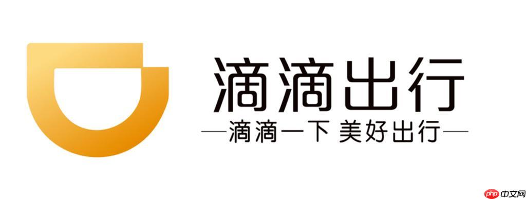 滴滴车主app如何查看在线时长_滴滴车主app数据统计查询【指南】