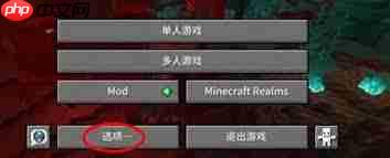 我的世界分辨率怎么调