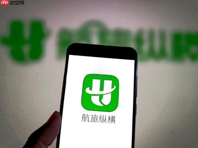 没带身份证怎么坐飞机_航旅纵横pro办理电子临时身份证明【应急指南】